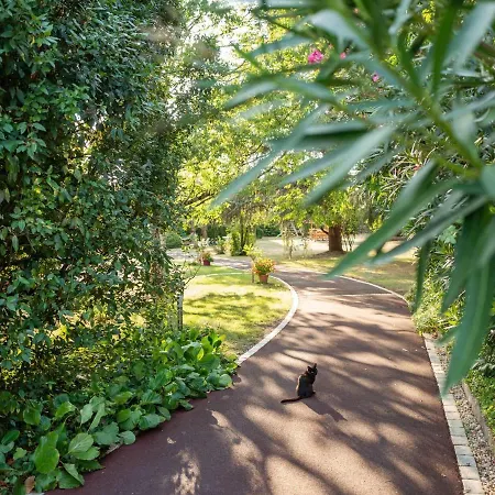 Superb With Private Garden In V Lines Villa